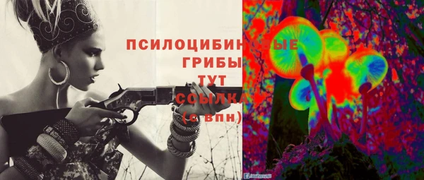 тгк Абинск